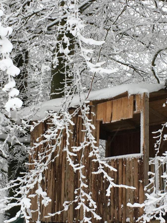 Ferienhaus Janne Monschau Eksteriør bilde
